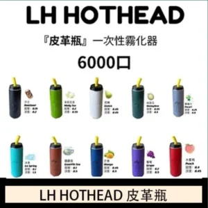 LH HOTHEAD皮革瓶電子煙可充電6000口一次性