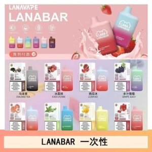 LANA BAR可充电一次性電子煙霧化5000口
